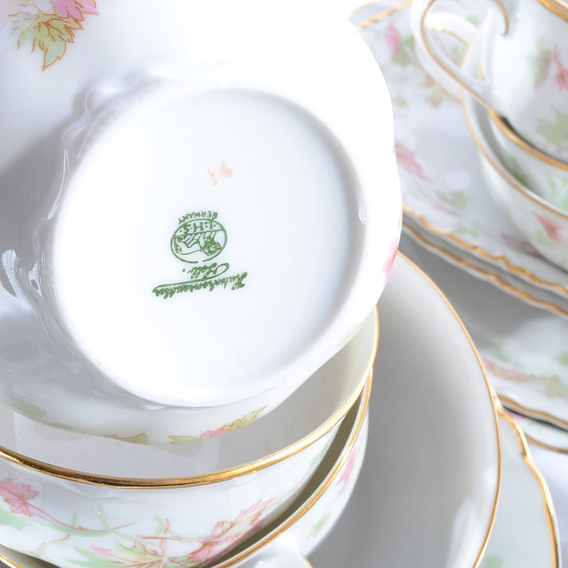 Hutschenreuther Selb Bavaria "Maple Leaf" China Service For Eight