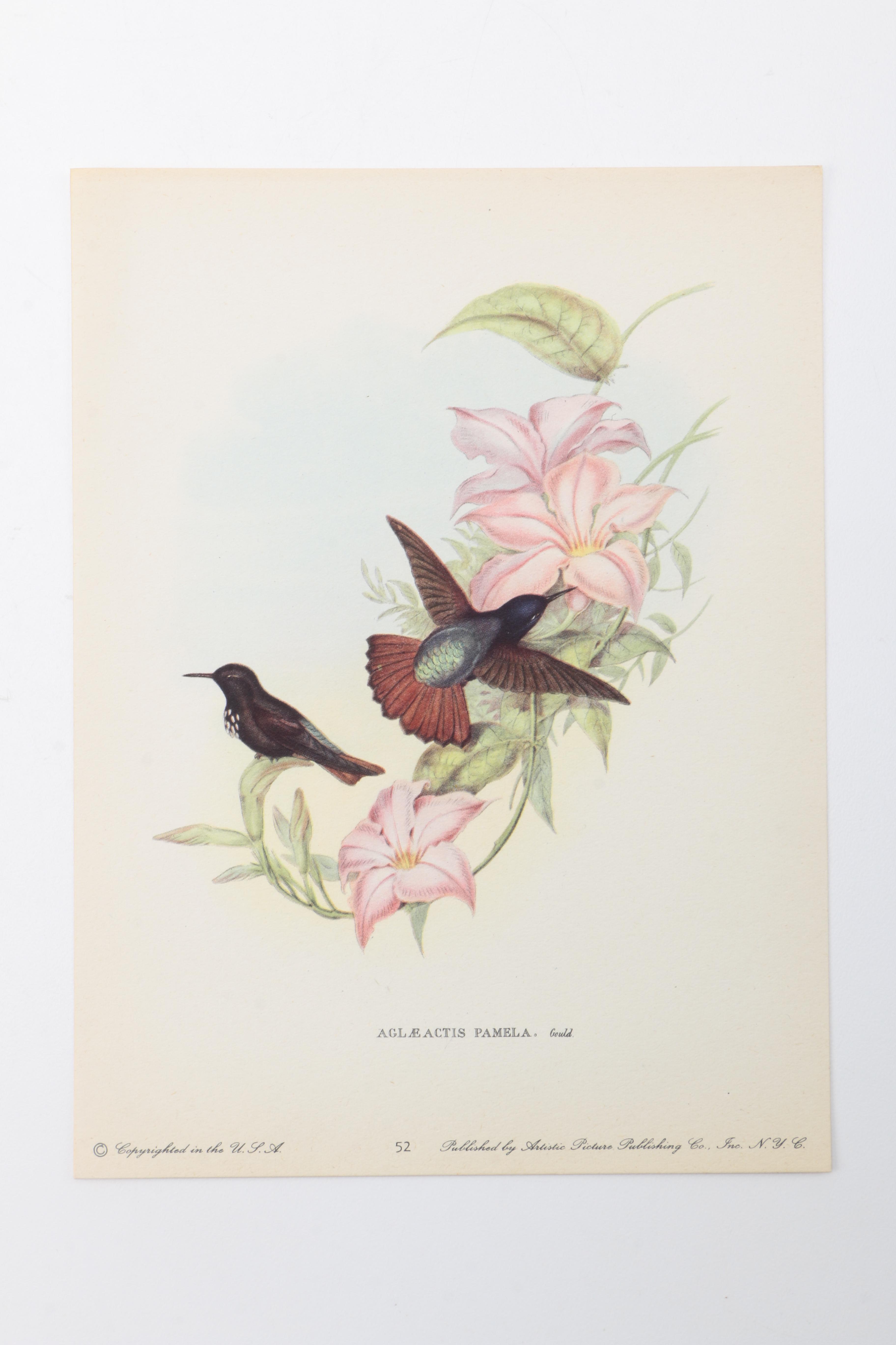 Flora and Fauna Prints