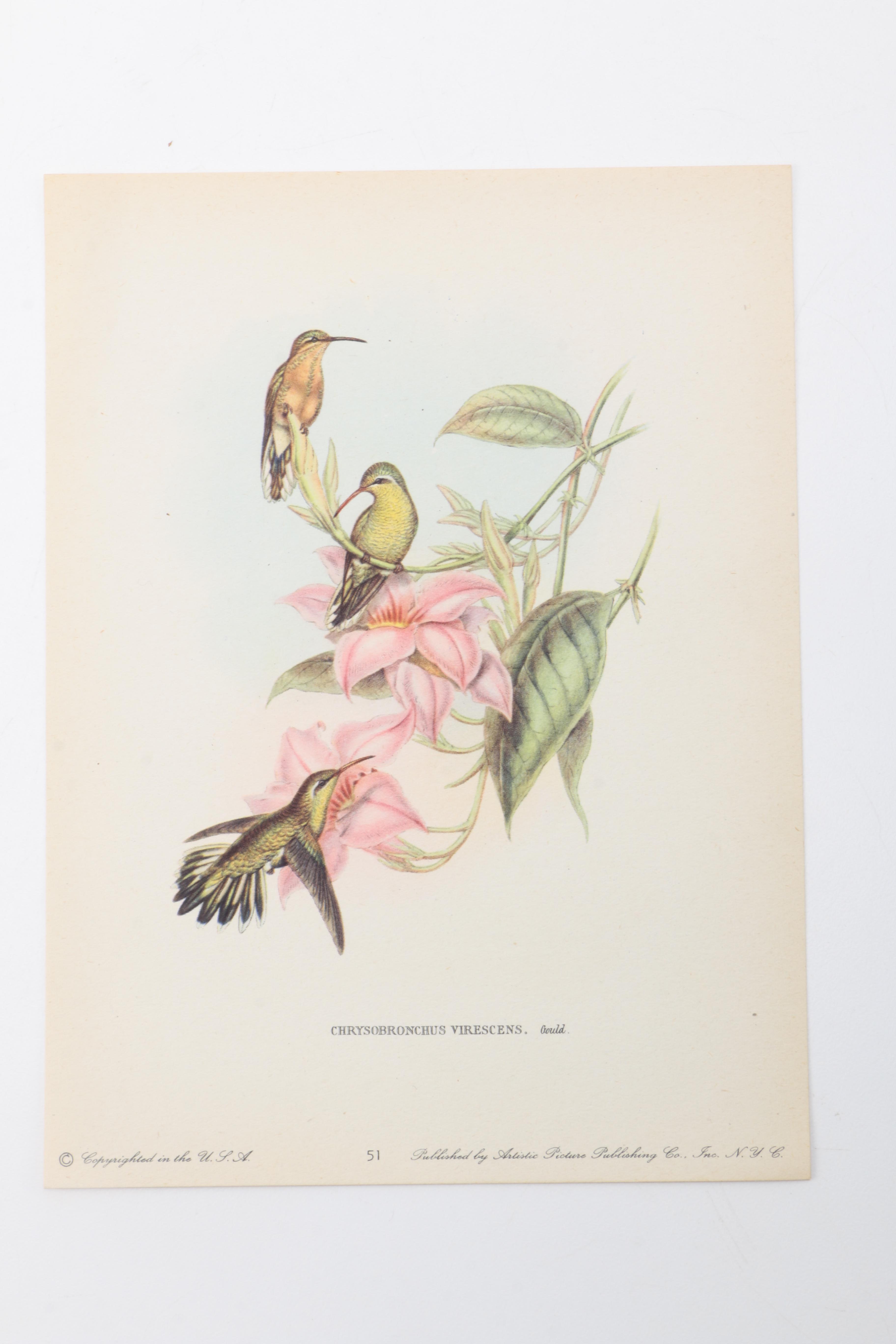 Flora and Fauna Prints