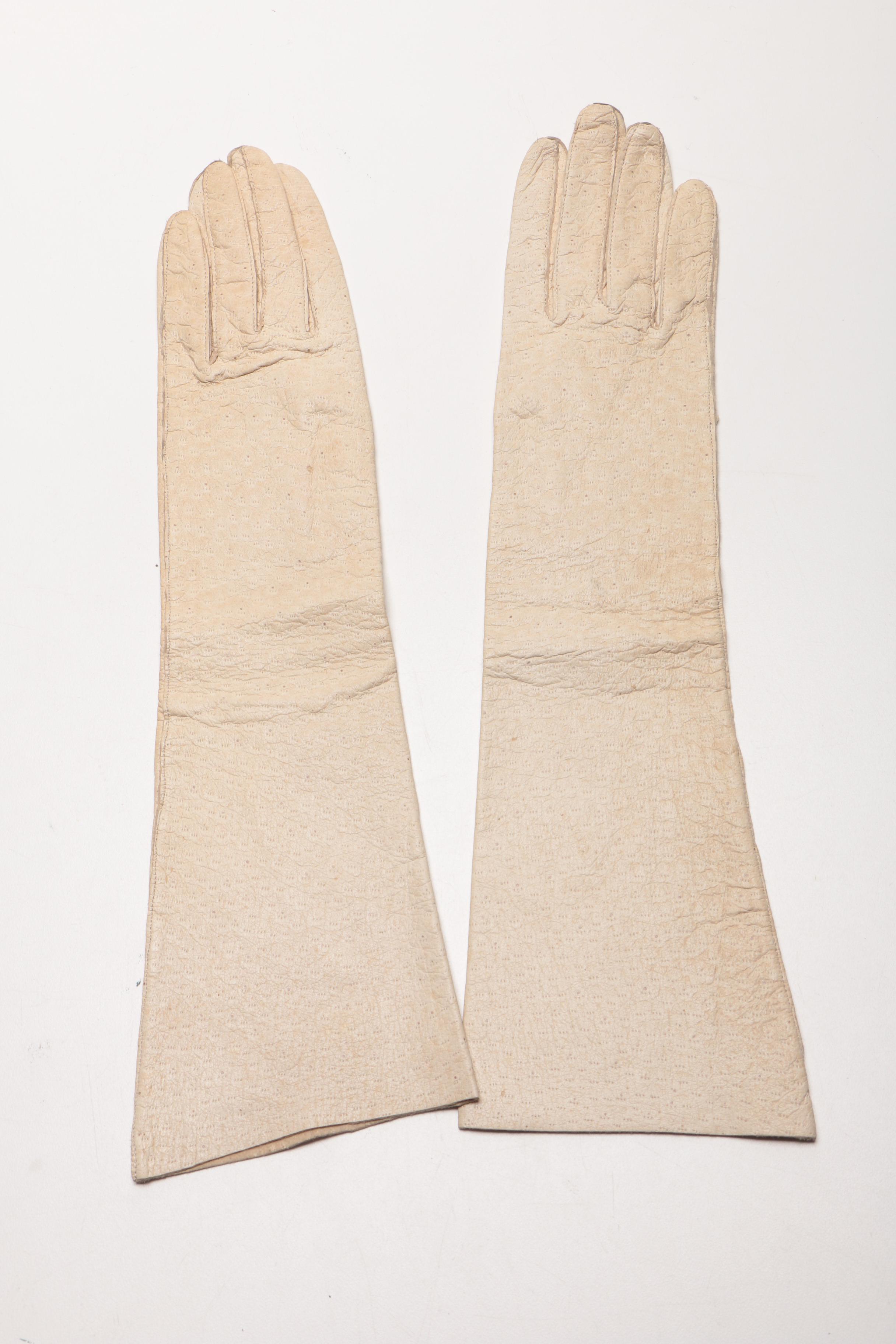 Assorted Women's Leather and Cotton Gloves