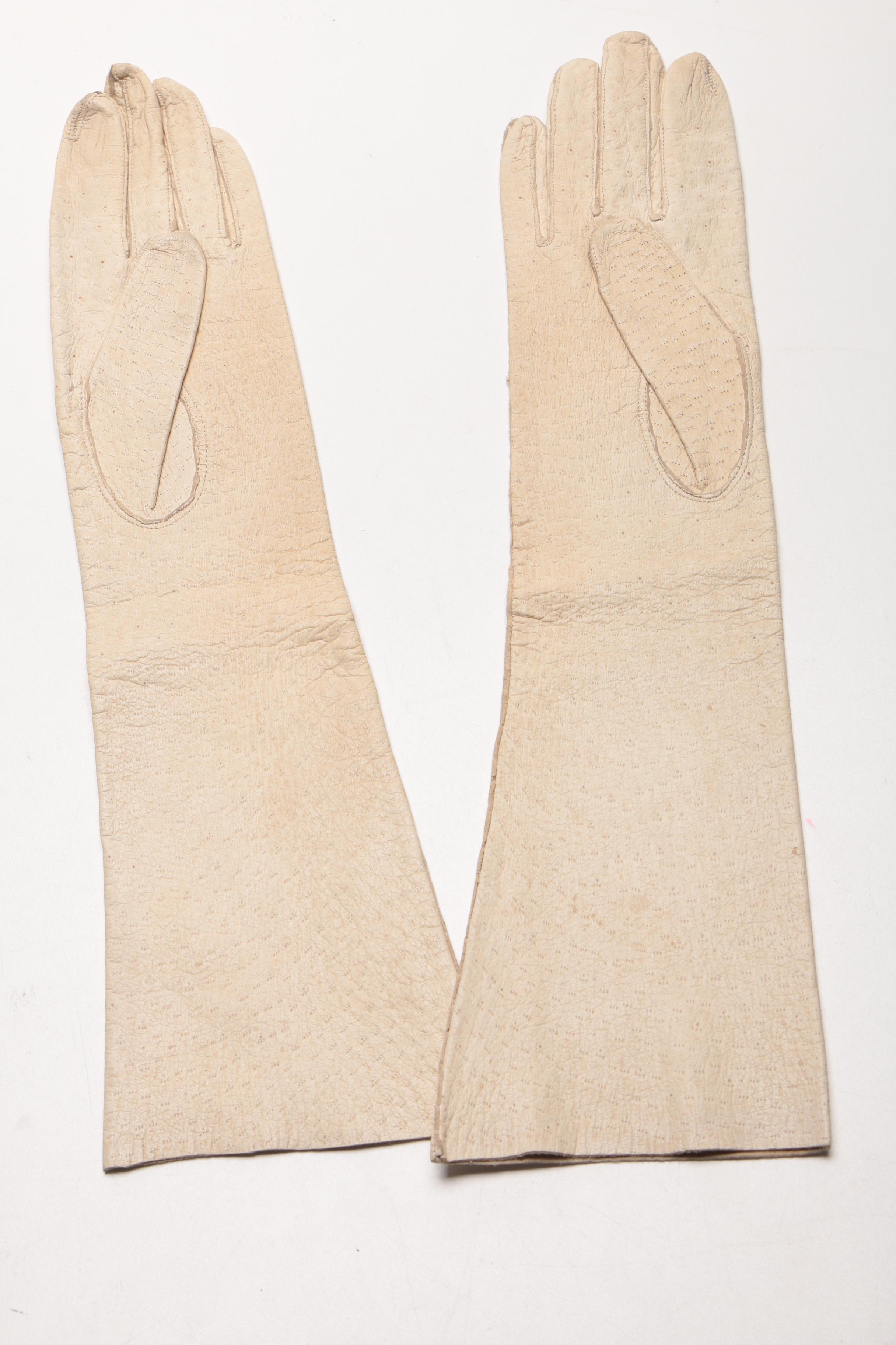 Assorted Women's Leather and Cotton Gloves