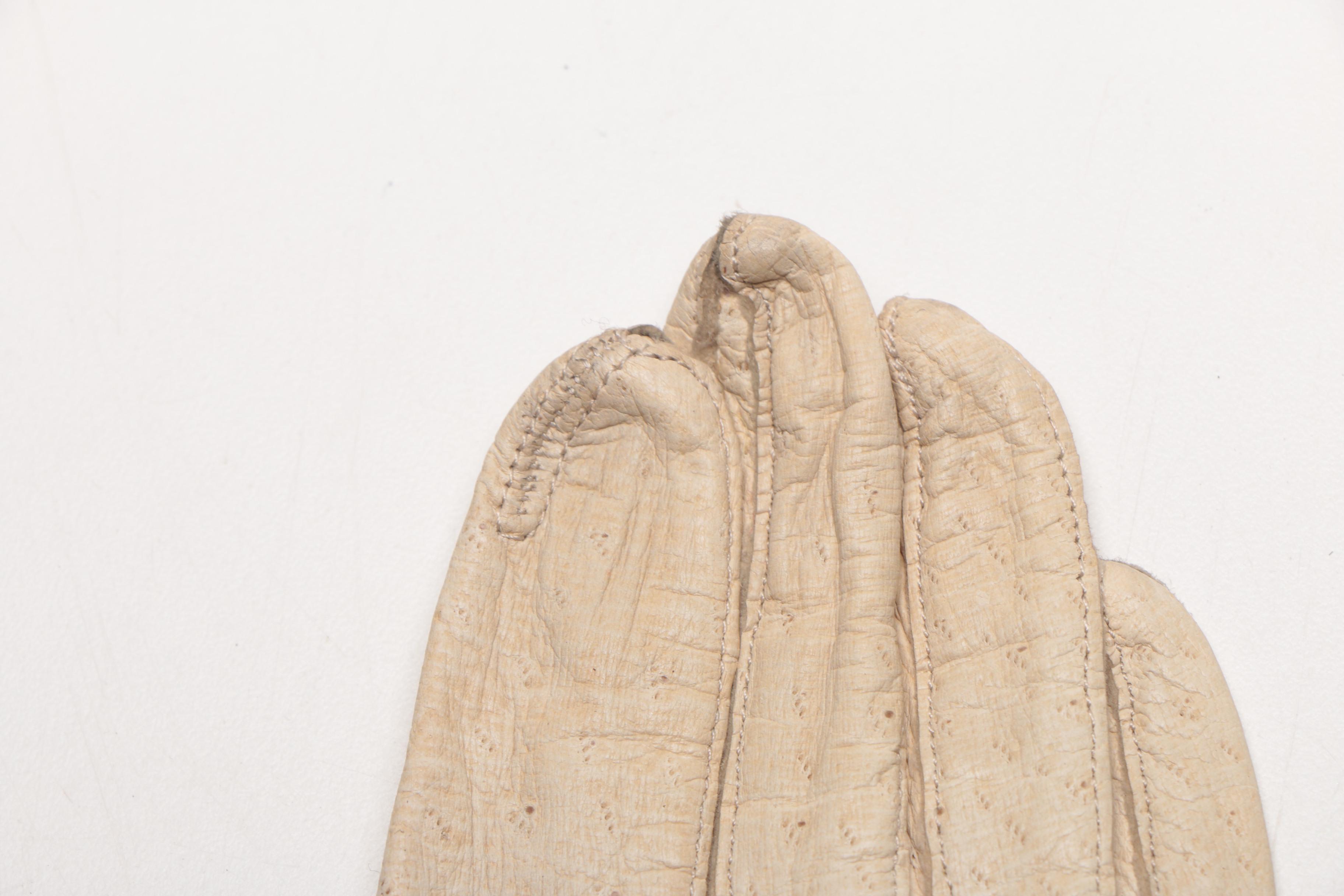 Assorted Women's Leather and Cotton Gloves