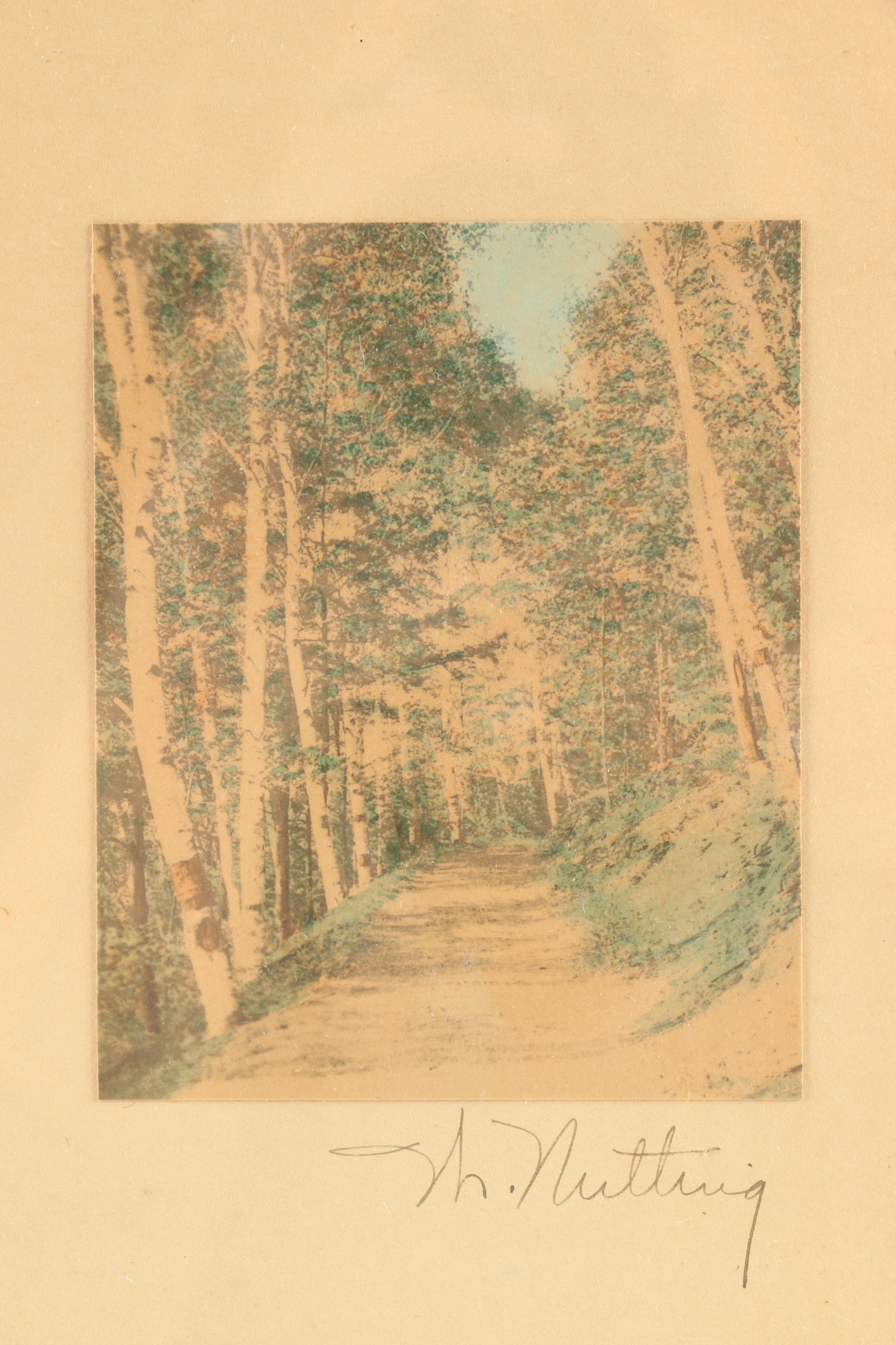 Wallace Nutting Hand-Tinted Photographs