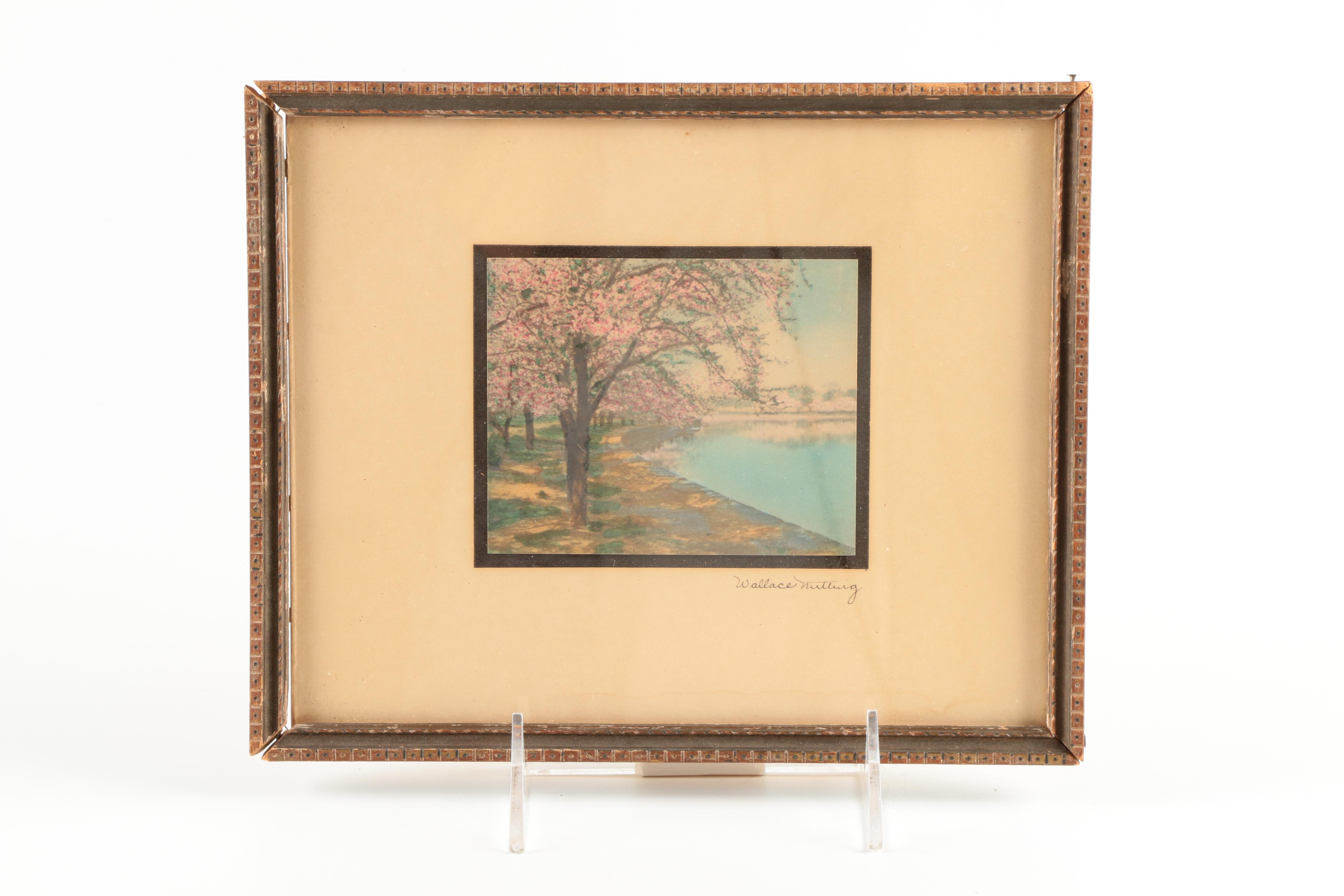 Wallace Nutting Hand-Tinted Photographs