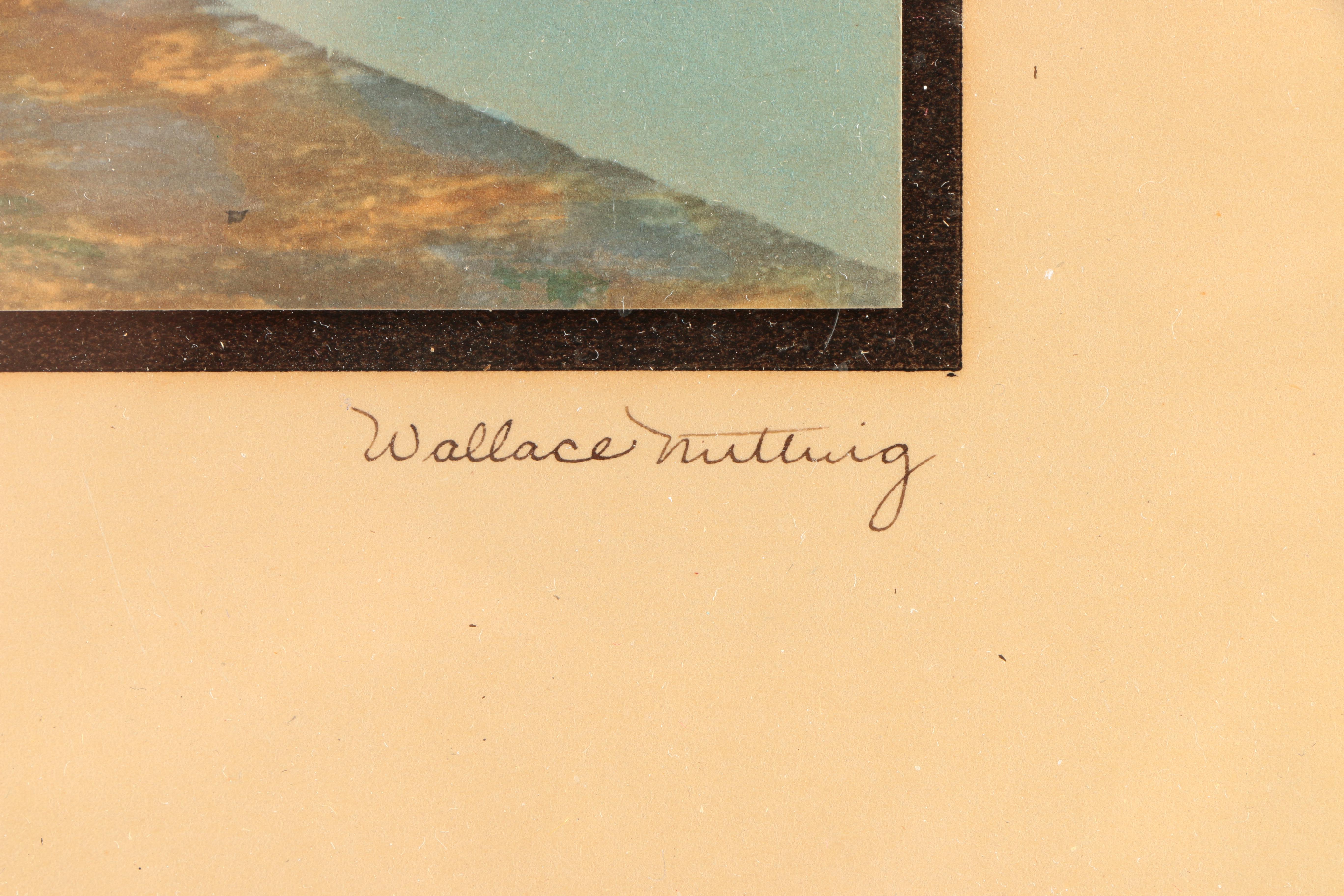 Wallace Nutting Hand-Tinted Photographs