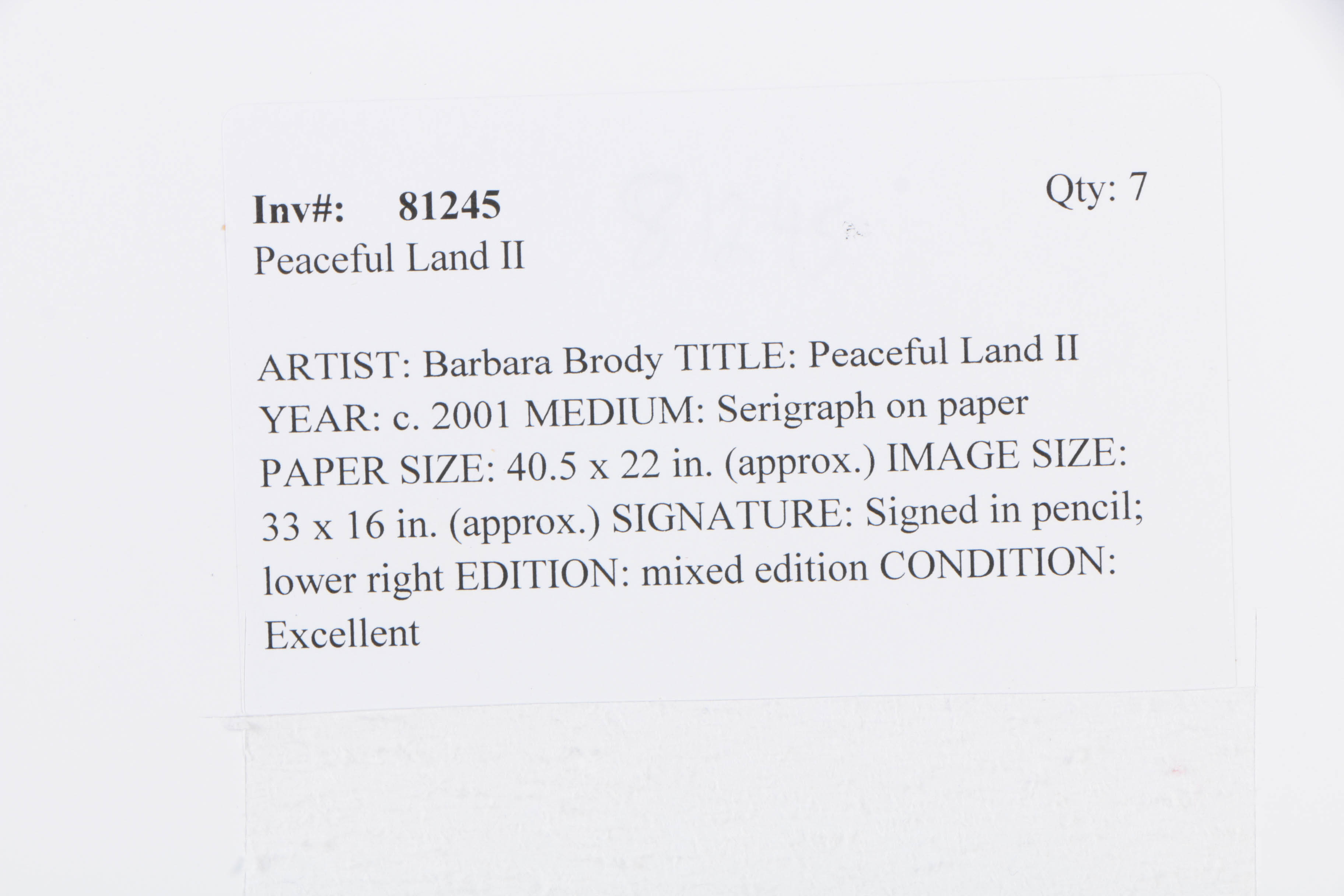 Barbara Brody Limited Edition Serigraph "Peaceful Land II"