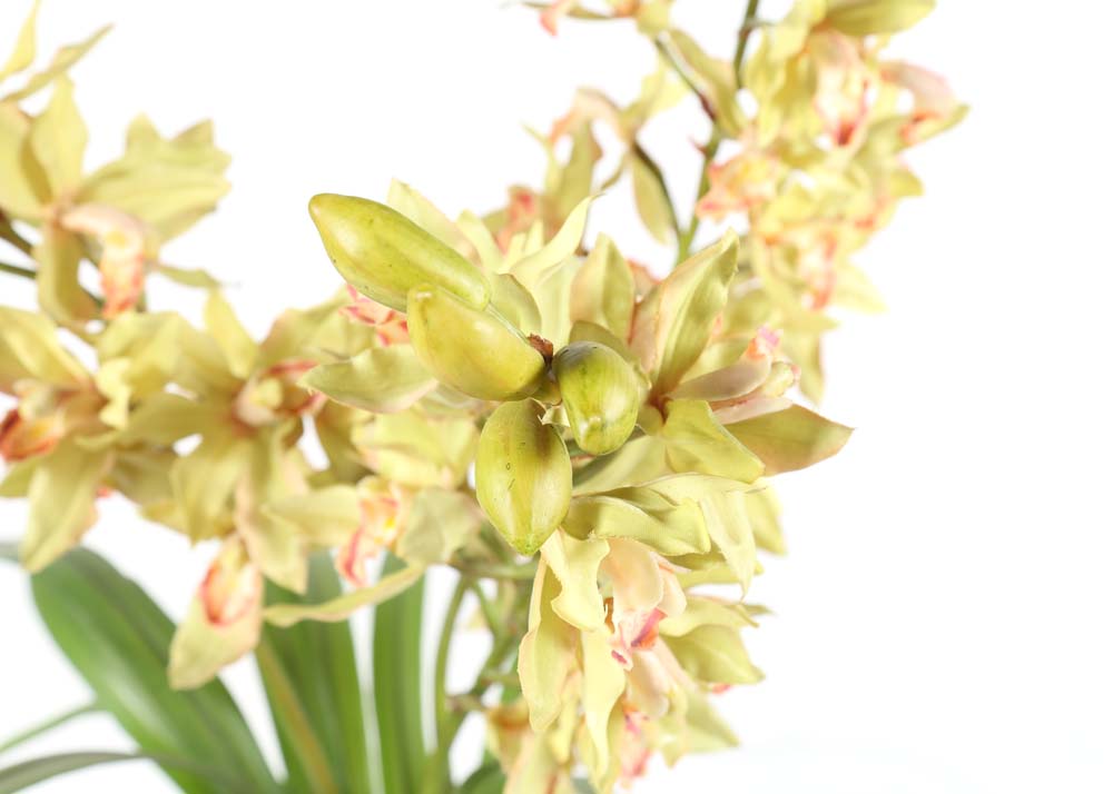 Glass Potted Floral Arrangement