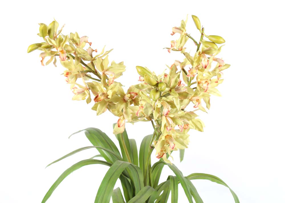 Glass Potted Floral Arrangement