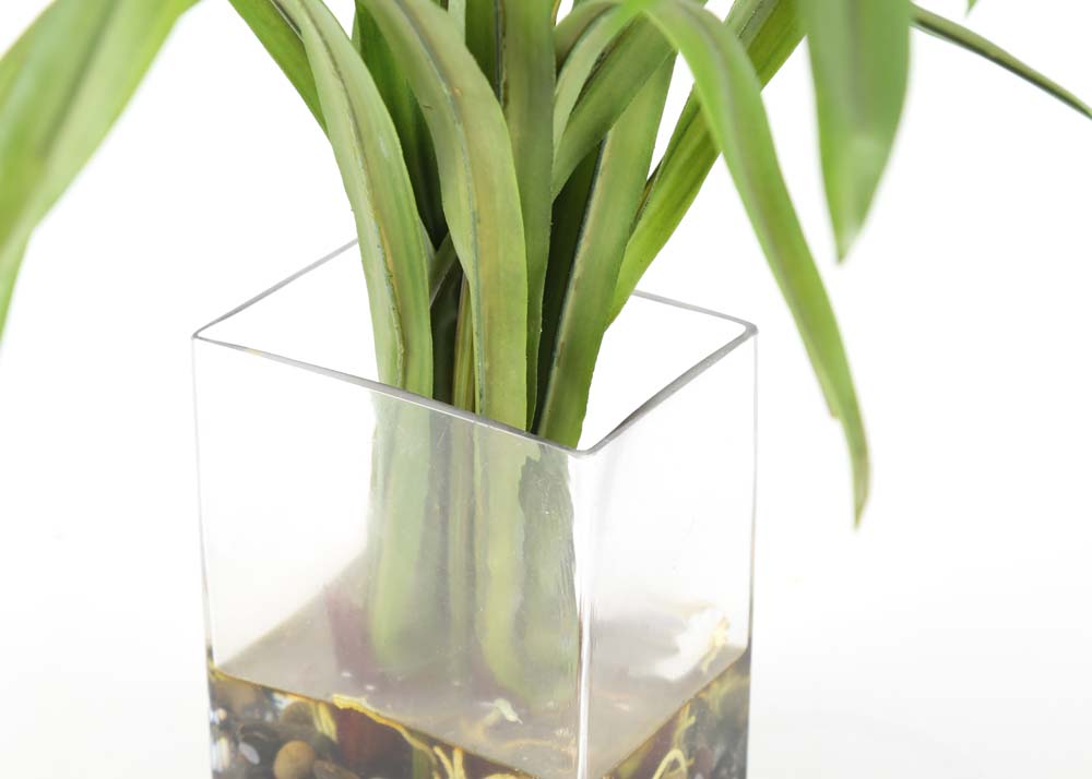 Glass Potted Floral Arrangement