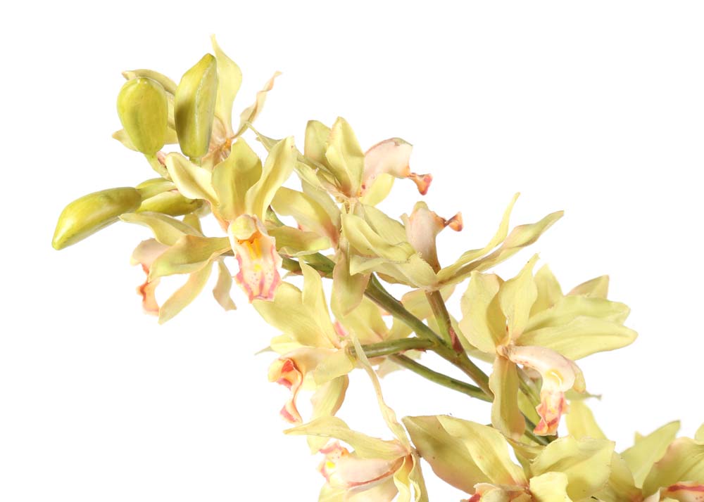 Glass Potted Floral Arrangement