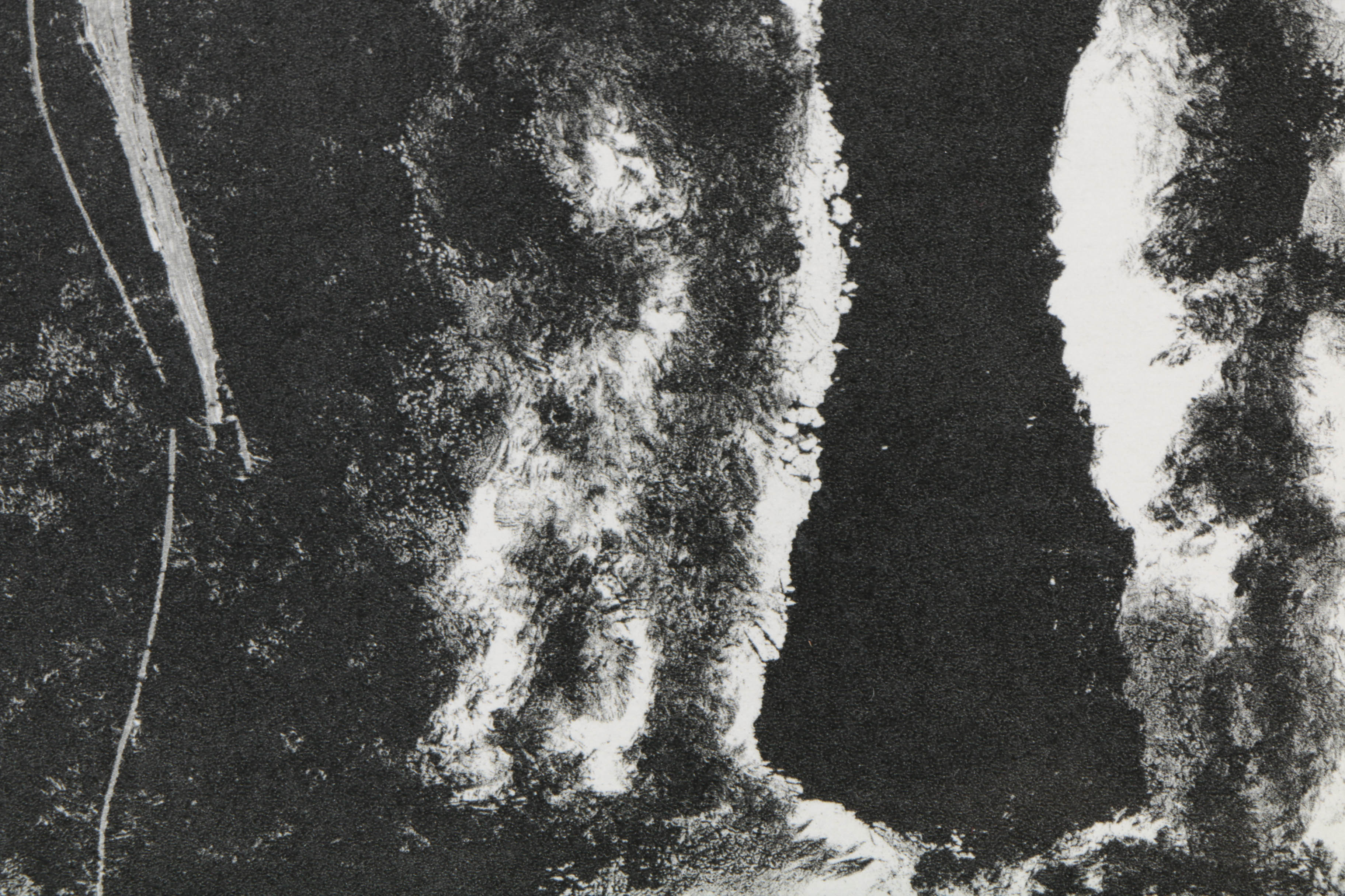 Halftone Print on Paper After Pablo Picasso