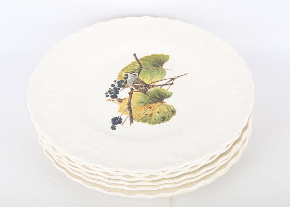 Vintage Alfred Meakin "Birds of America" China