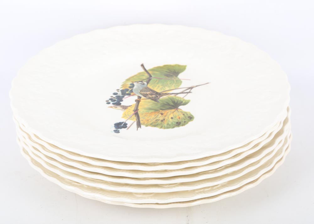 Vintage Alfred Meakin "Birds of America" China