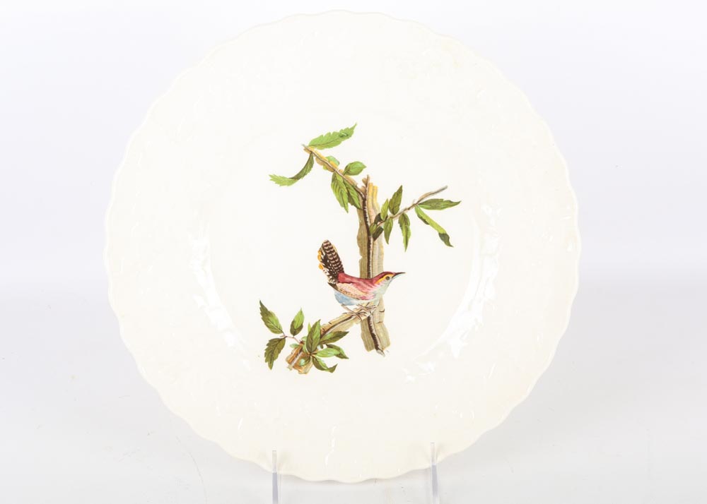 Vintage Alfred Meakin "Birds of America" China