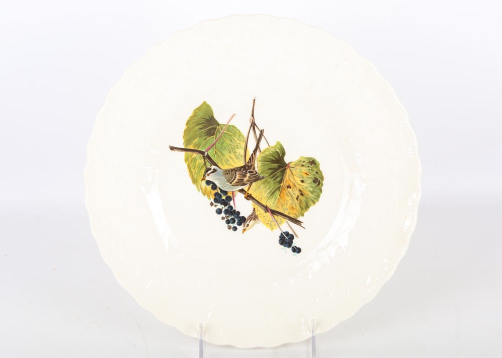 Vintage Alfred Meakin "Birds of America" China