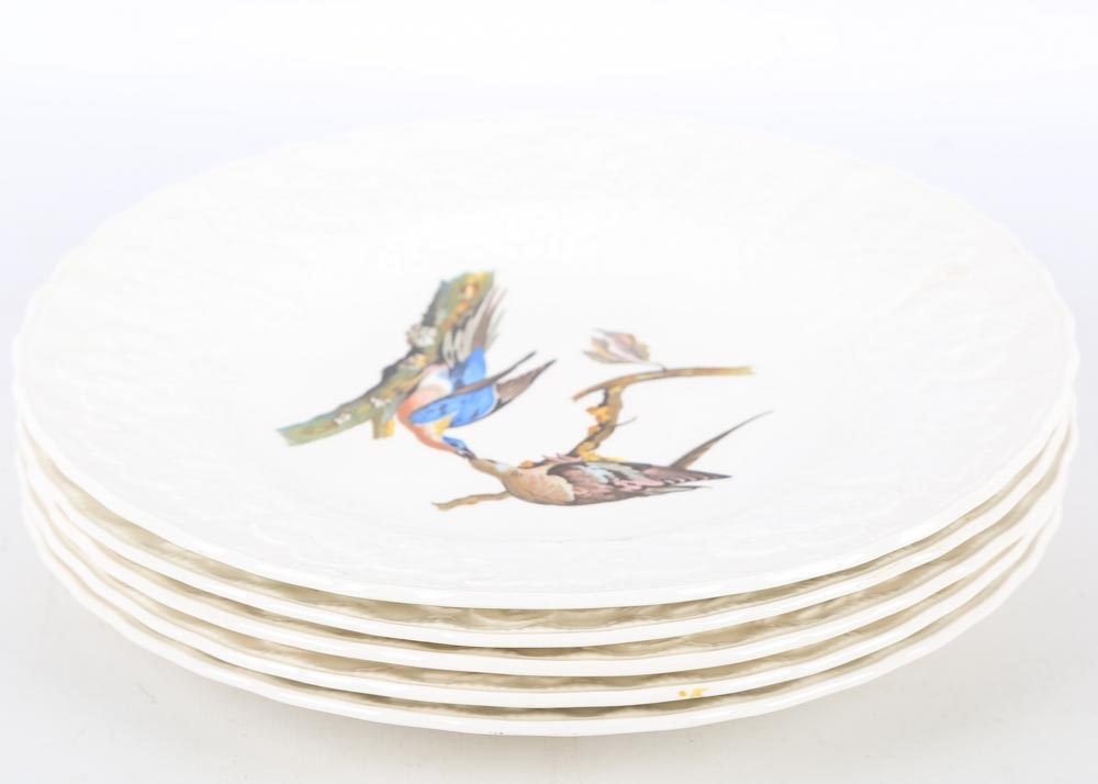 Vintage Alfred Meakin "Birds of America" China