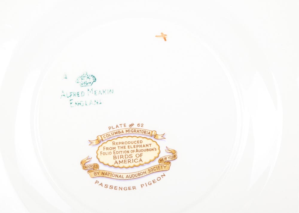 Vintage Alfred Meakin "Birds of America" China