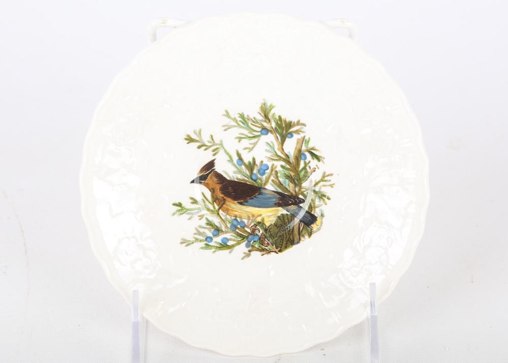Vintage Alfred Meakin "Birds of America" China