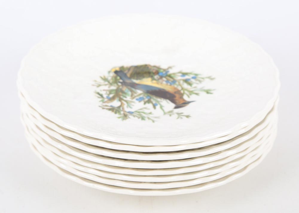 Vintage Alfred Meakin "Birds of America" China
