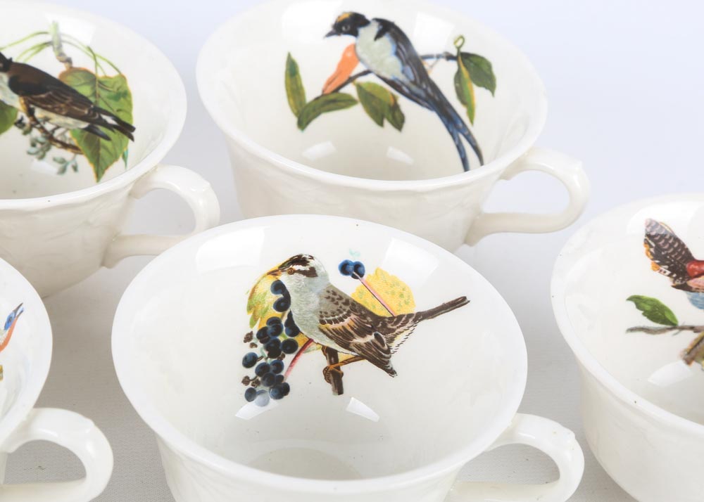 Vintage Alfred Meakin "Birds of America" China