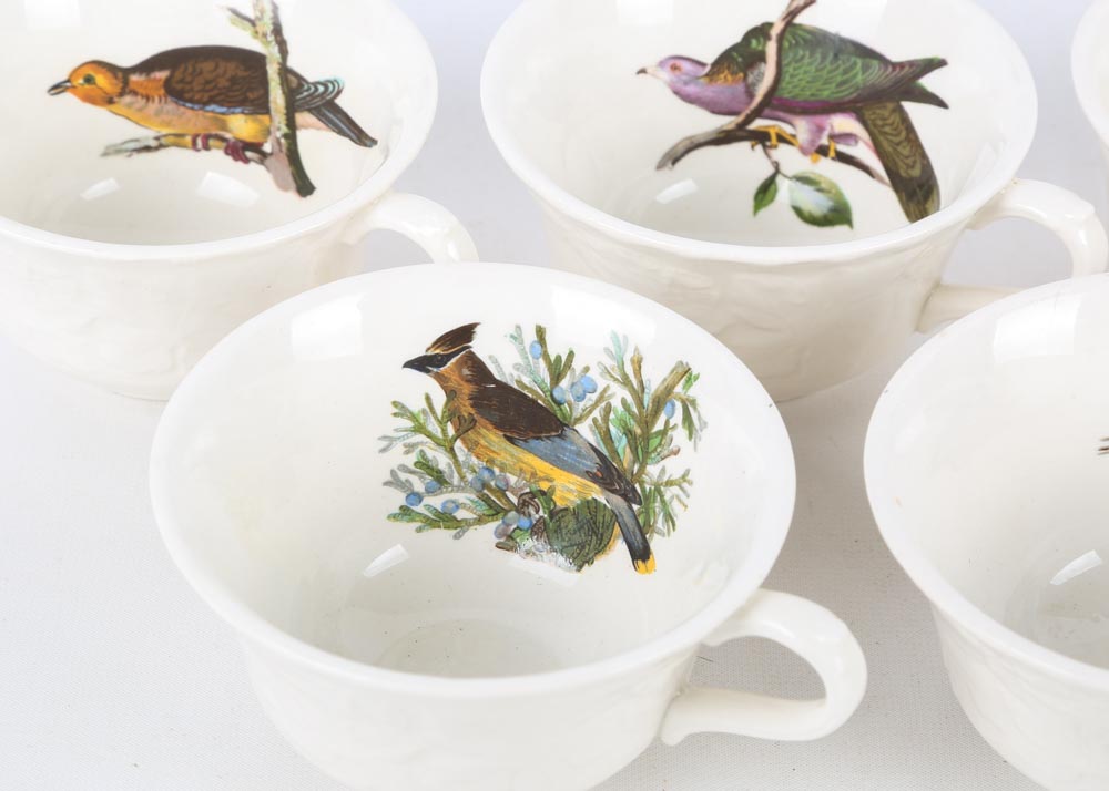 Vintage Alfred Meakin "Birds of America" China