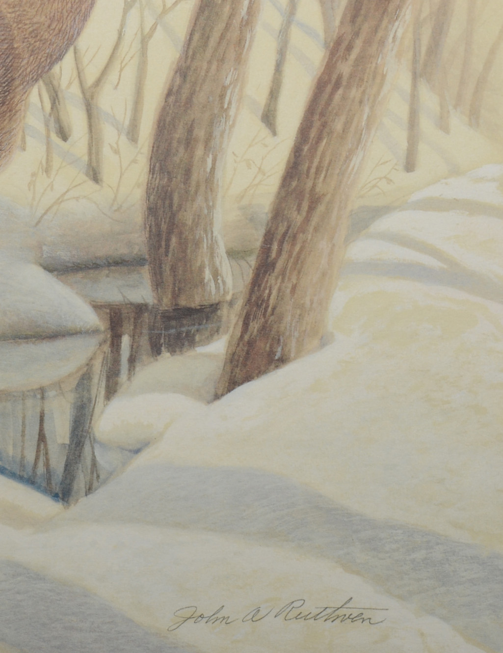 John Ruthven Signed Limited Edition Offset Lithograph "White-tailed Deer"