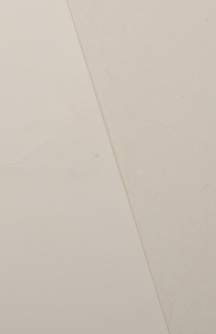 John Ruthven Signed Limited Edition Offset Lithograph "White-tailed Deer"