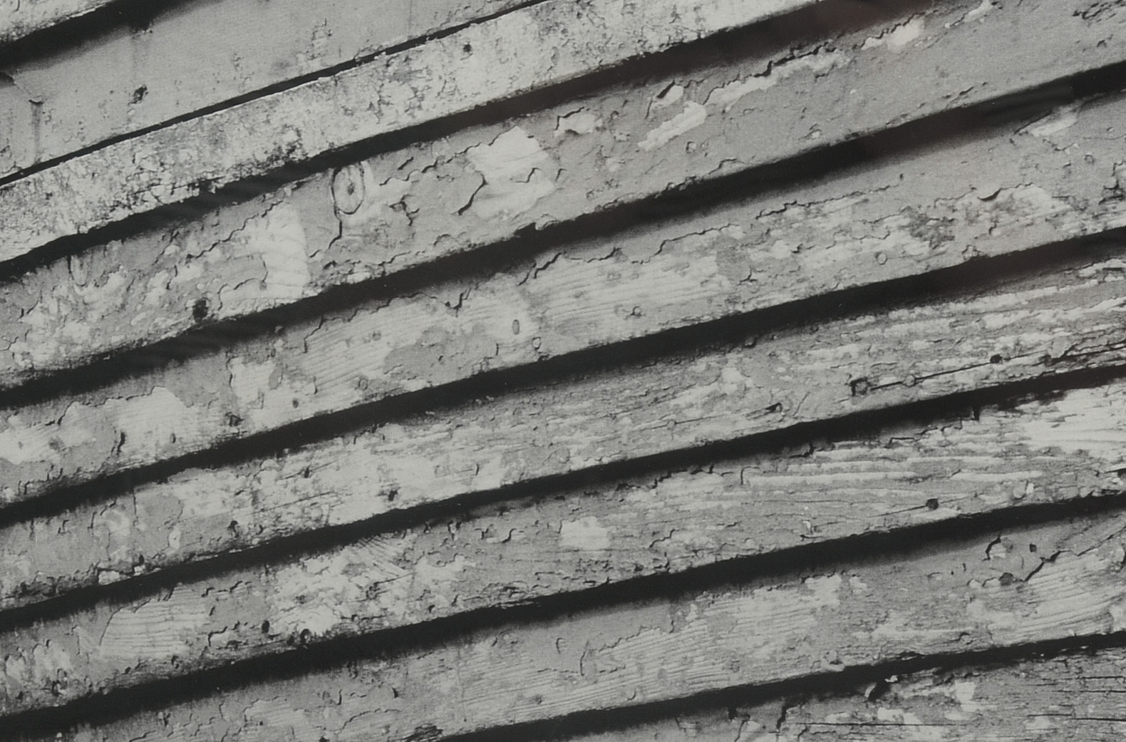 Ann Segal Signed Black-and-White Digital Photograph