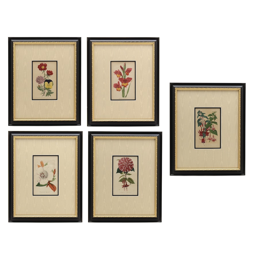 Five Original Mid-19th Century Hand-Colored Botanical Prints