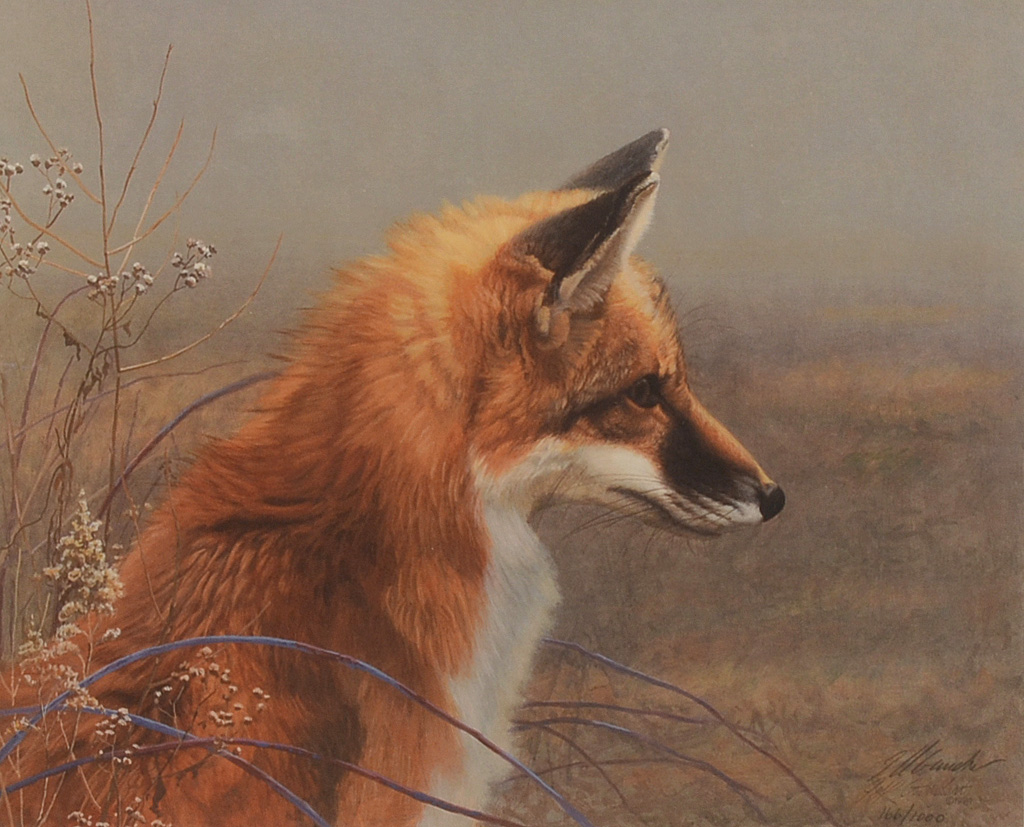 Jeff Gandert Signed Limited Edition 1994 Offset Lithograph "Out in the Fog: Red Fox"