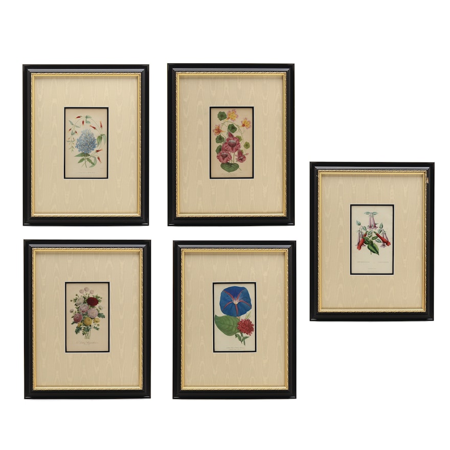 Five Original Mid-19th Century Hand-Colored Botanical Prints