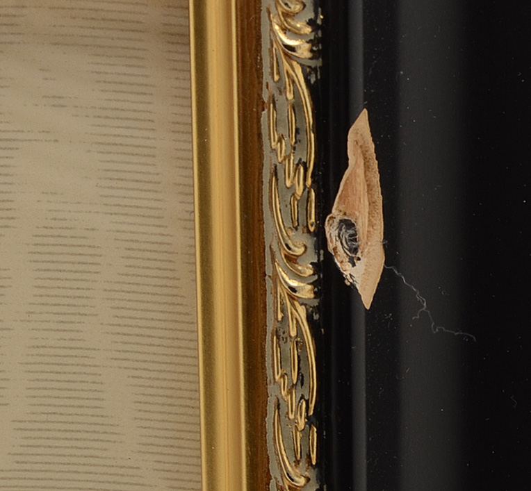 Five Original Mid-19th Century Hand-Colored Botanical Prints