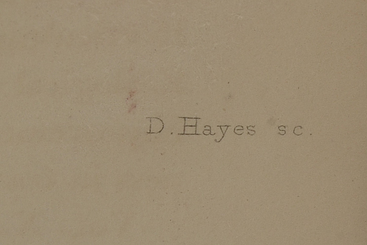 Five Original Mid-19th Century Hand-Colored Botanical Prints