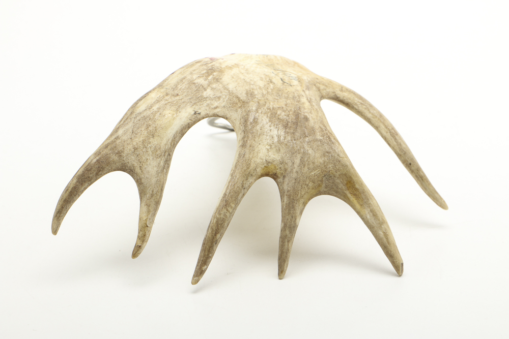 Vintage Norwegian Moose Antler Bottle Opener