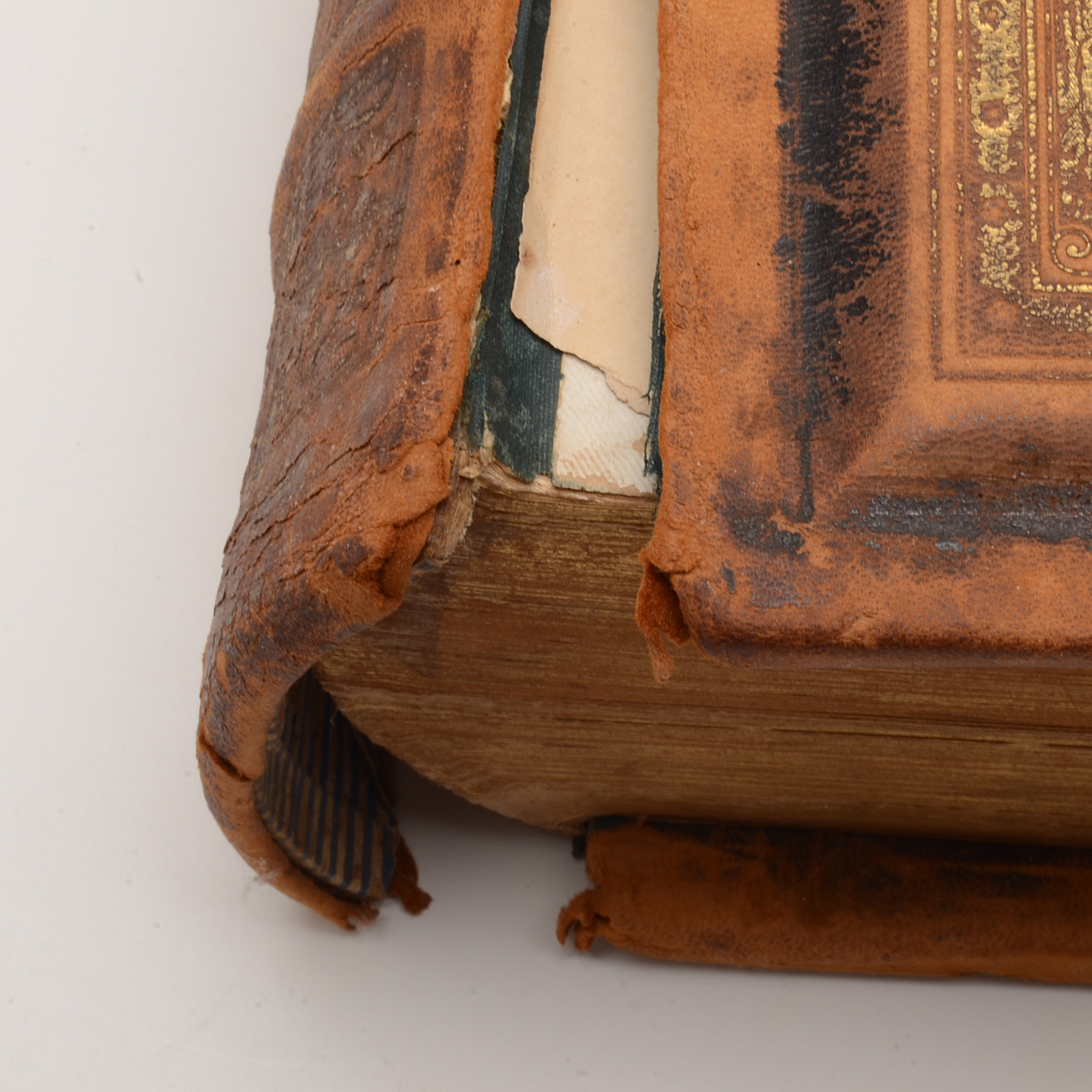 Antique Victorian Pictorial Bible