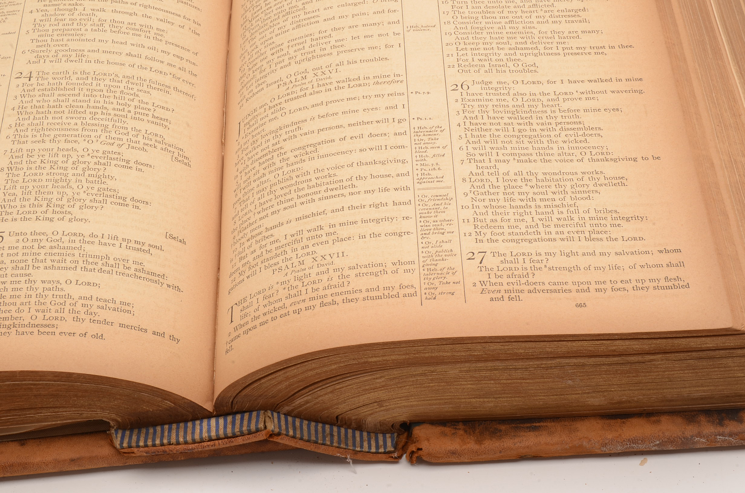 Antique Victorian Pictorial Bible