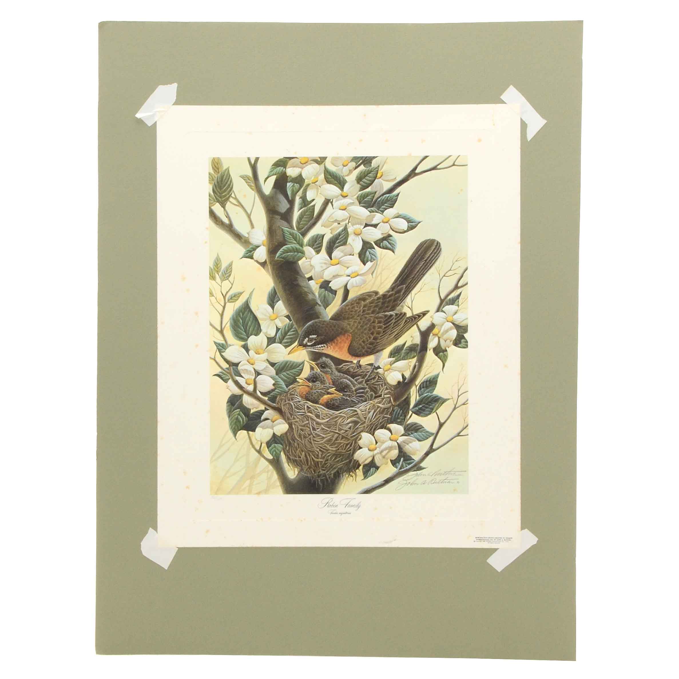 John Ruthven Signed Limited Edition Offset Lithograph "Robin Family"