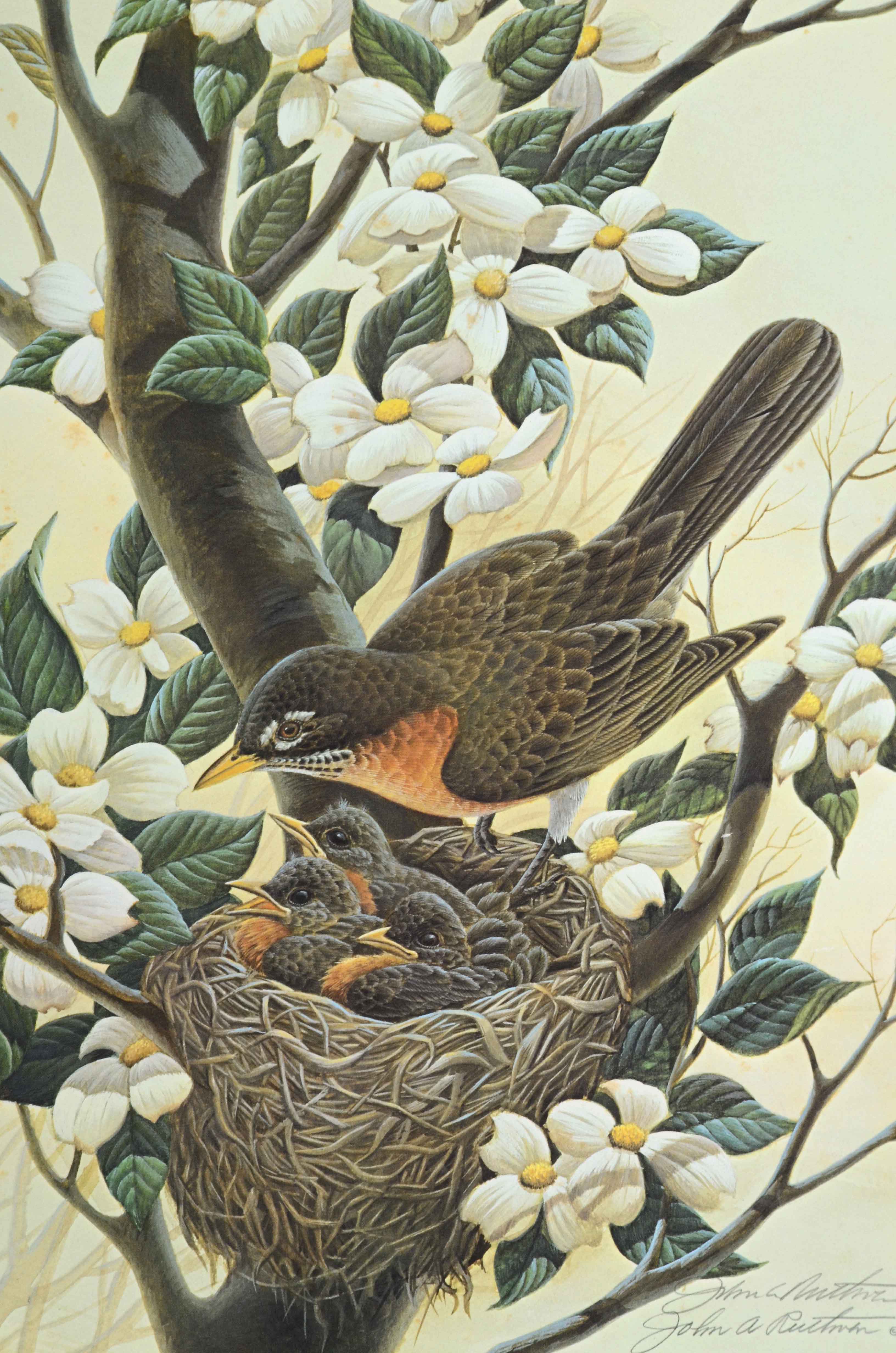 John Ruthven Signed Limited Edition Offset Lithograph "Robin Family"