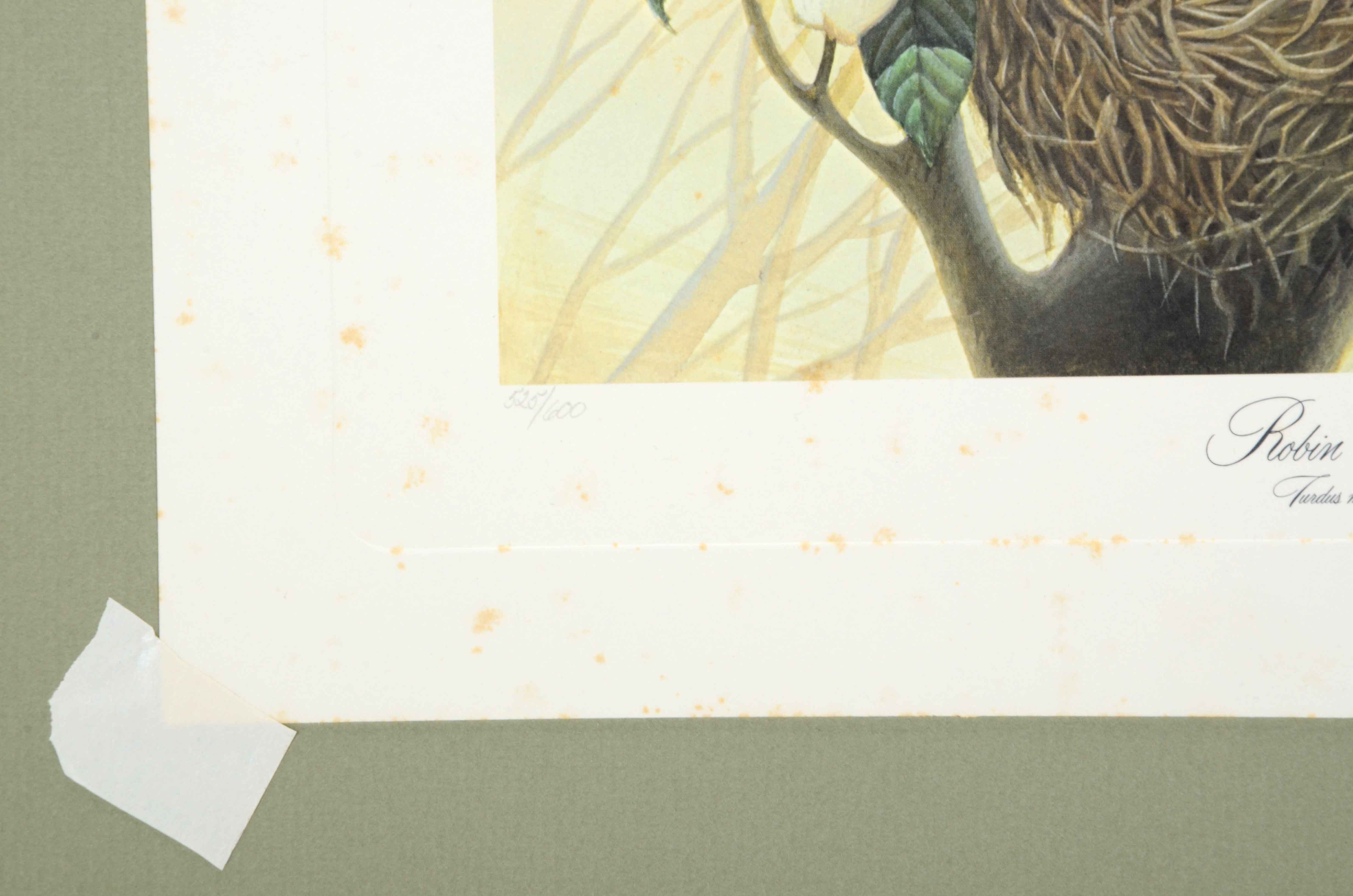 John Ruthven Signed Limited Edition Offset Lithograph "Robin Family"