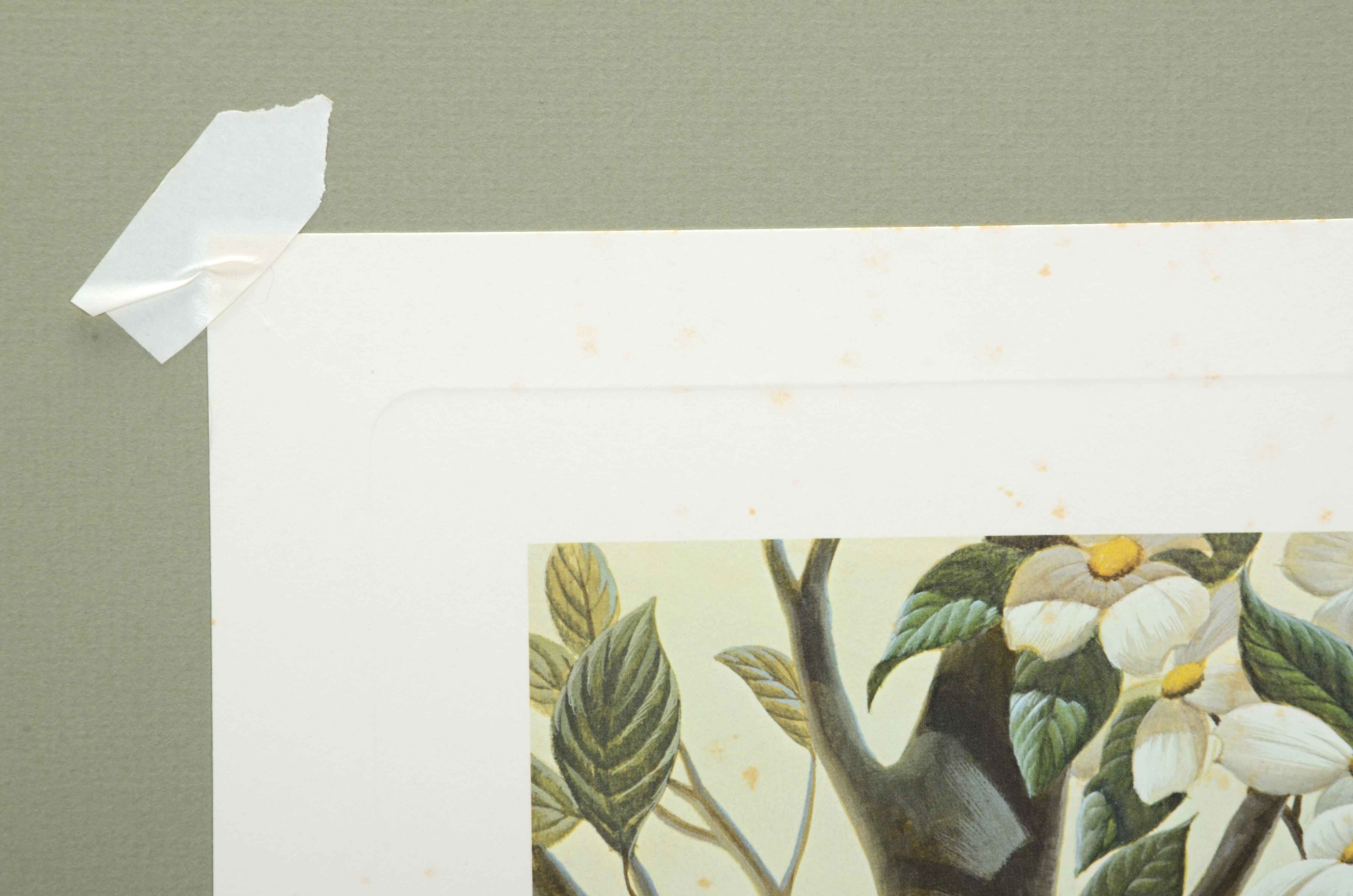 John Ruthven Signed Limited Edition Offset Lithograph "Robin Family"