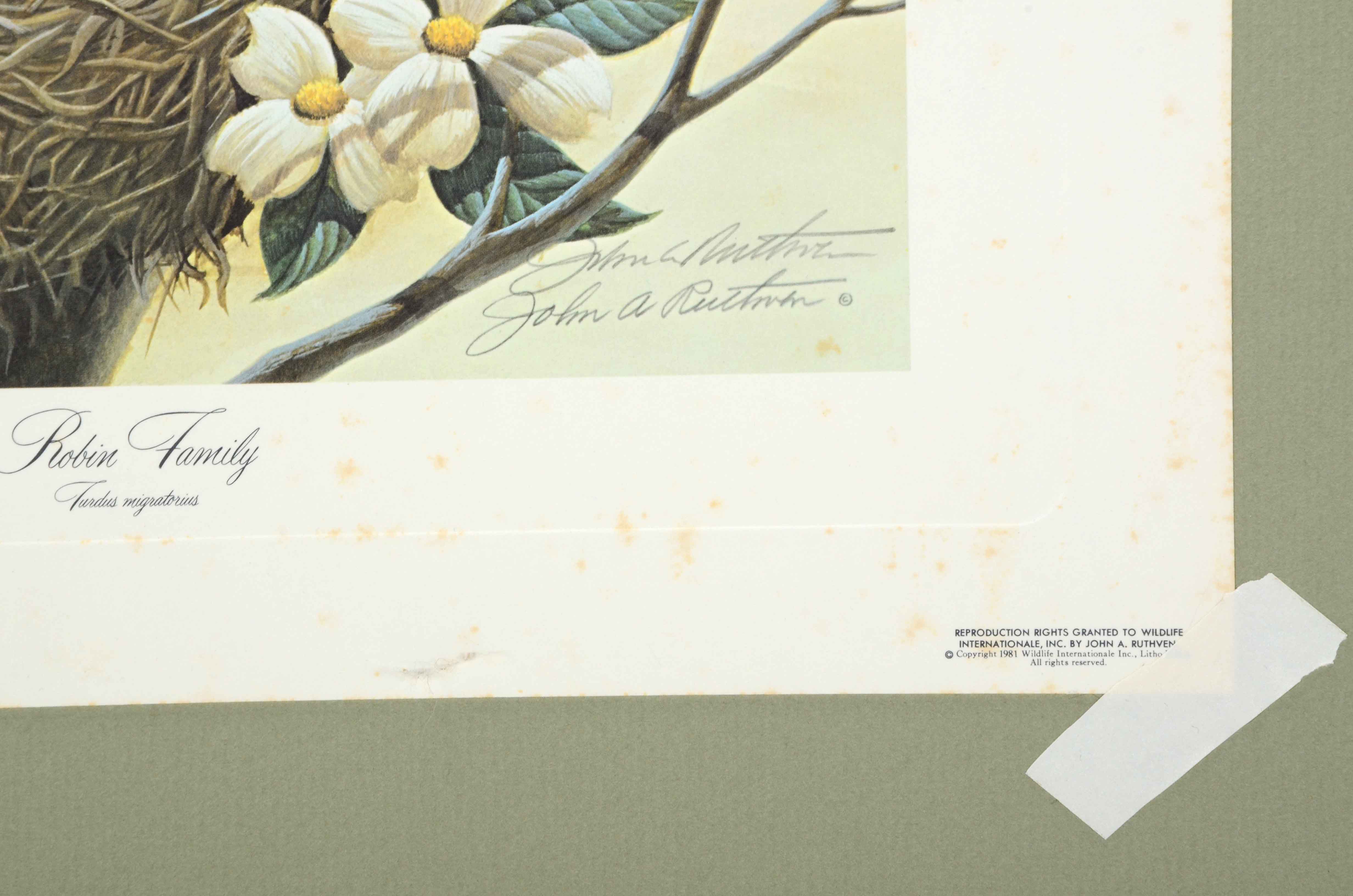 John Ruthven Signed Limited Edition Offset Lithograph "Robin Family"