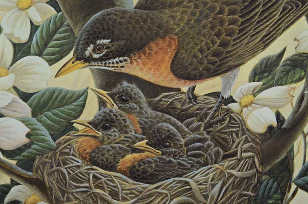 John Ruthven Signed Limited Edition Offset Lithograph "Robin Family"