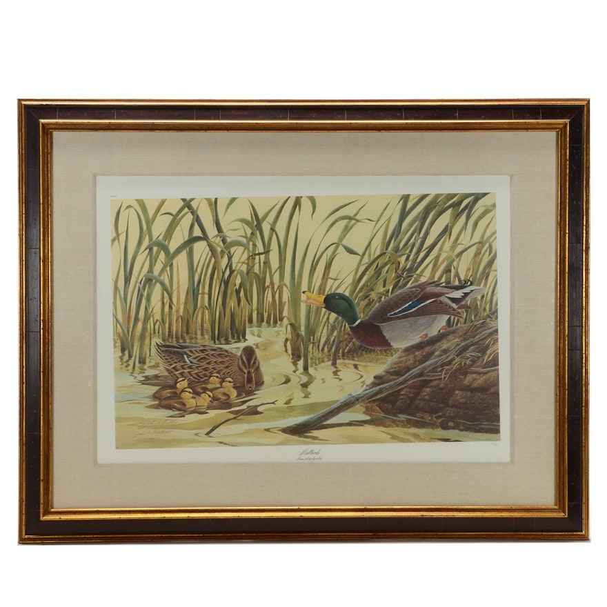 John Ruthven Signed Limited Edition Offset Lithograph "Mallards"