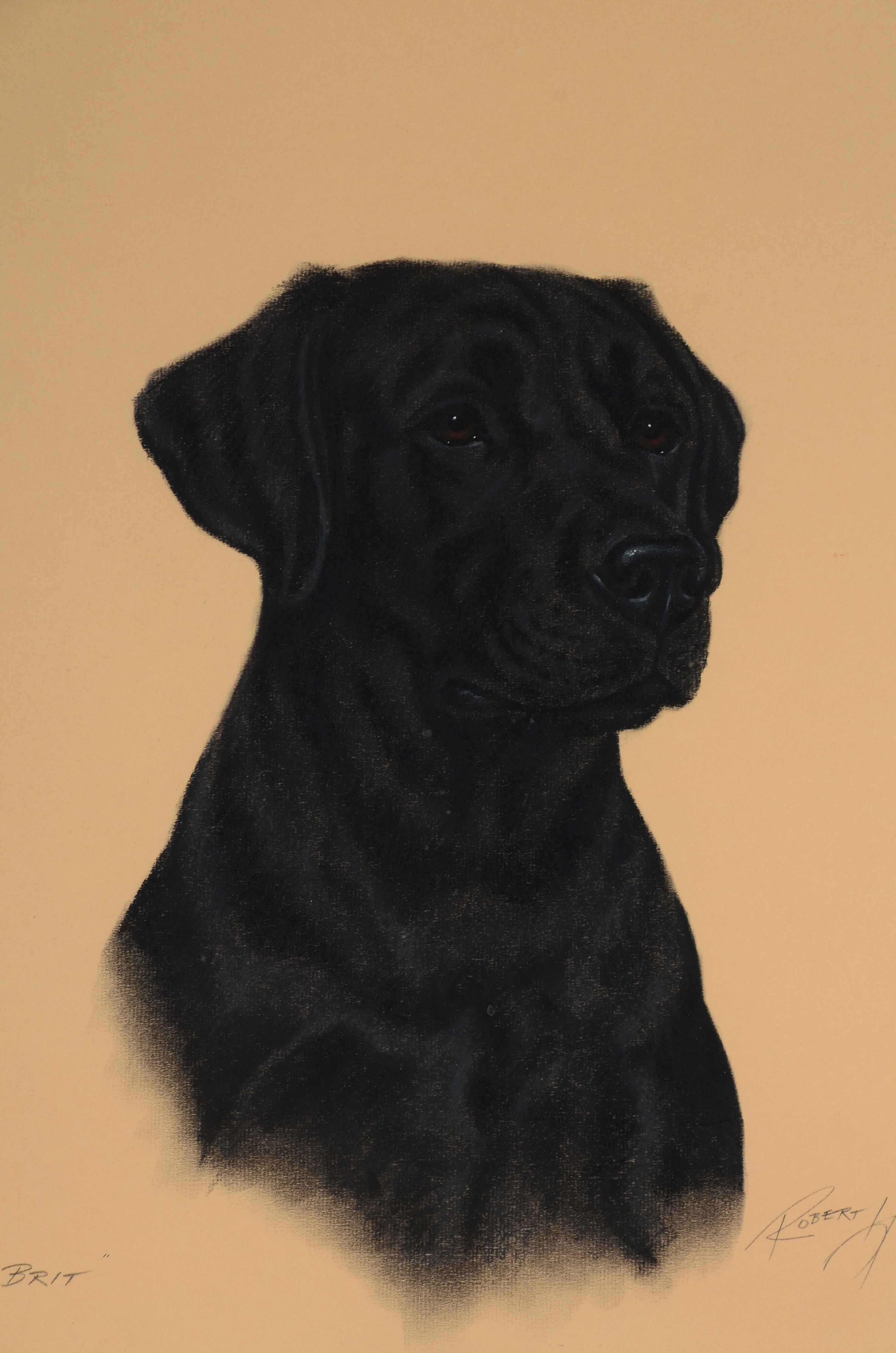 Robert Hickey Original Vintage Pastel Dog Portrait "Brit"