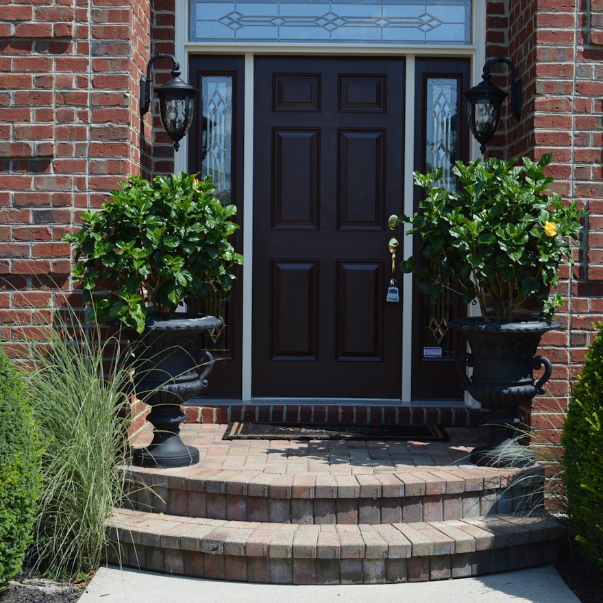 Pair of Large Composite Planters with Live Hibiscus Plants
