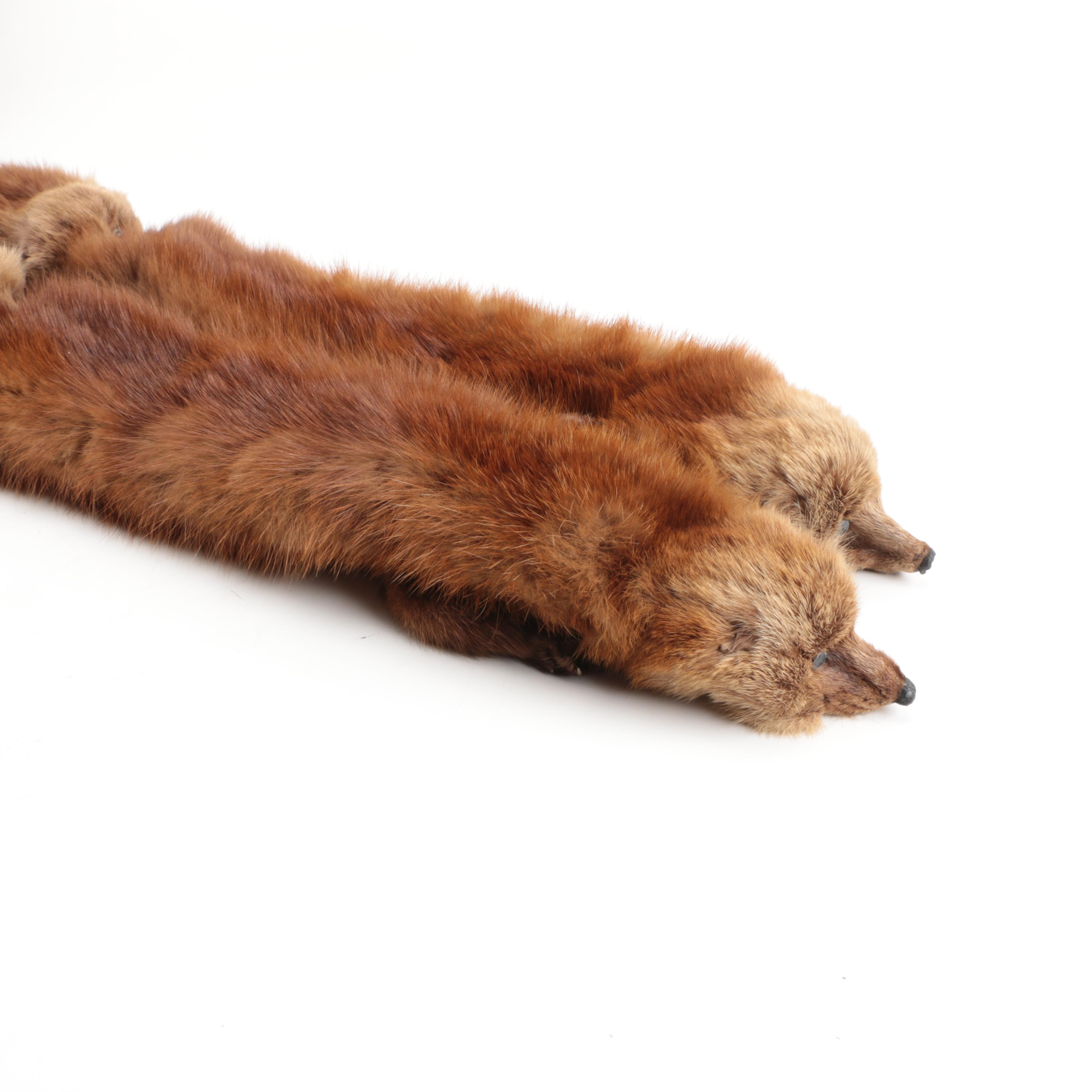 Marten Fur Stole