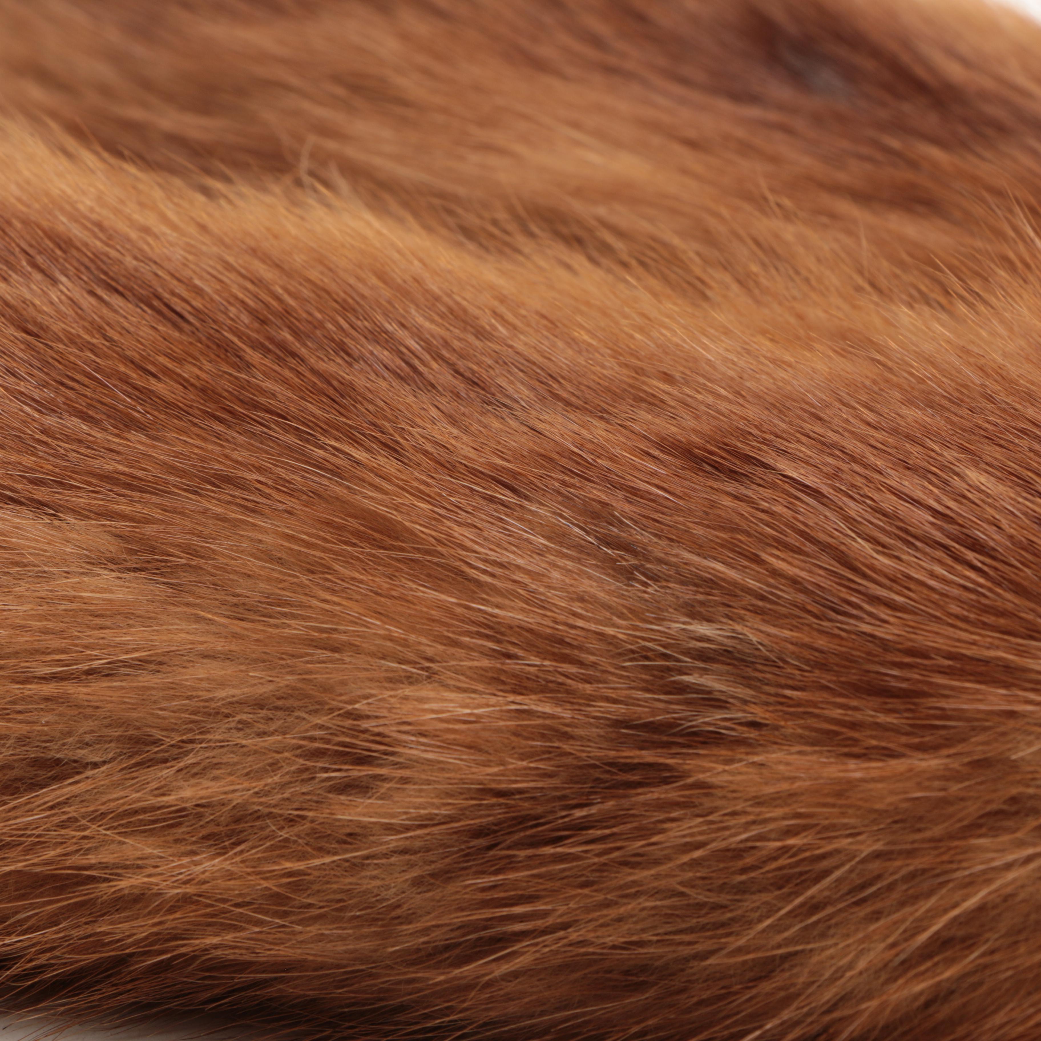 Marten Fur Stole