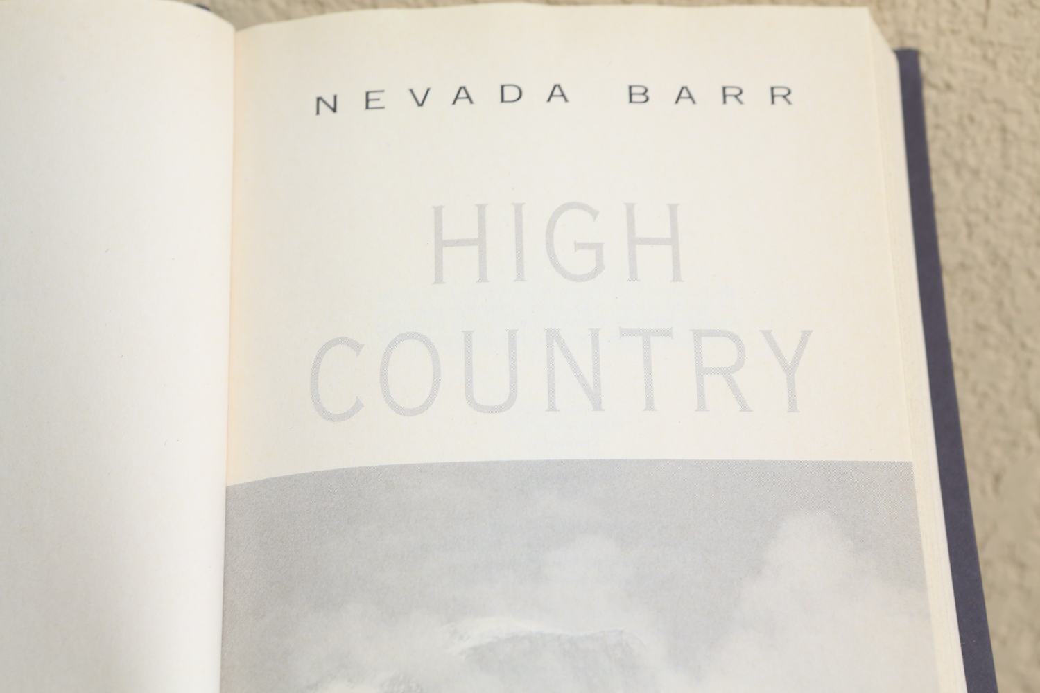 Large Selection of Fiction Books