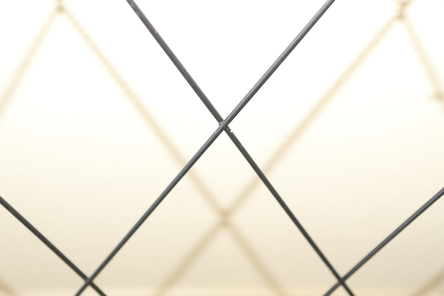 Decorative Lawn Trellis