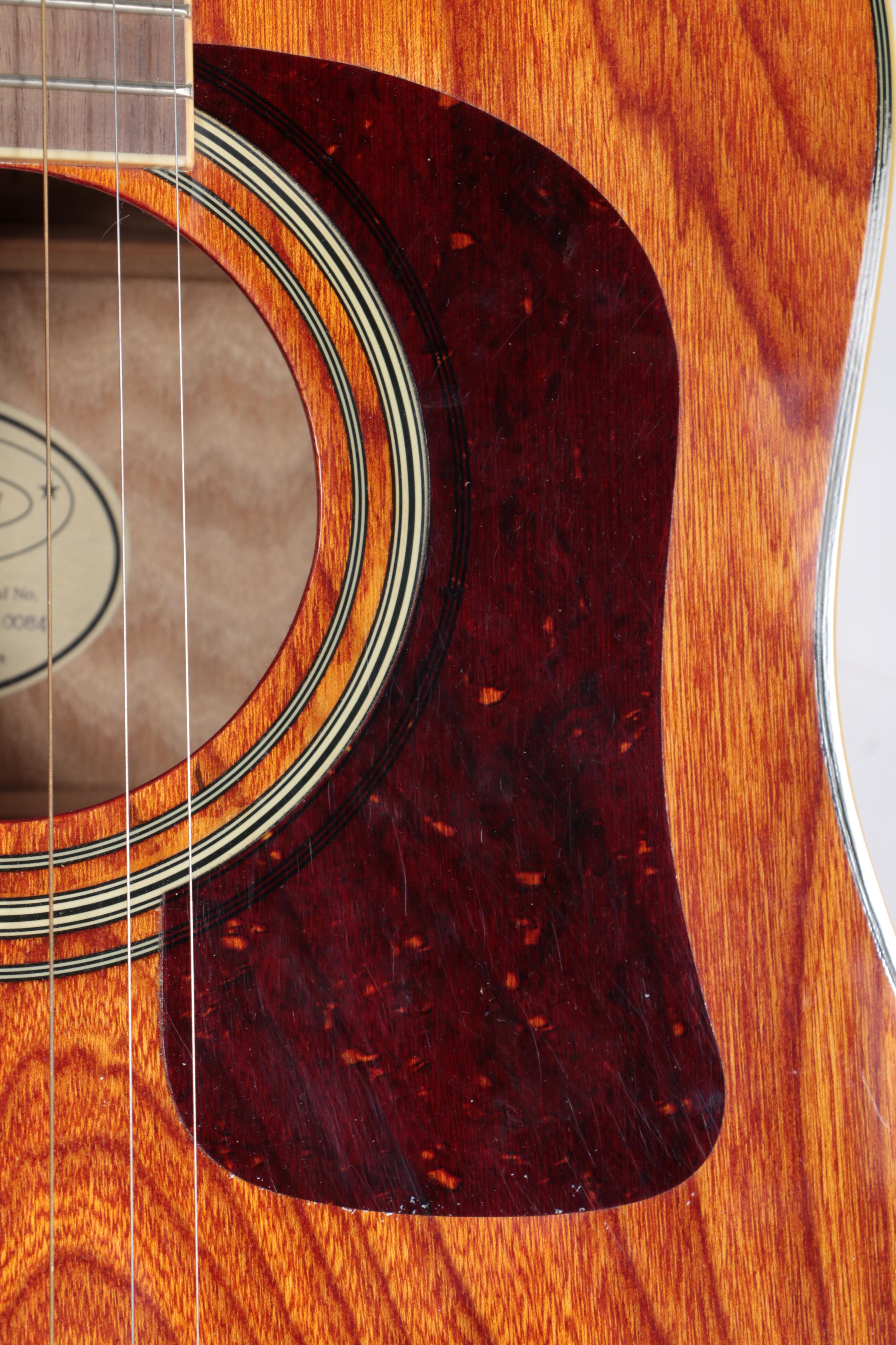 Washburn Dreadnought Style Acoustic Guitar and Case